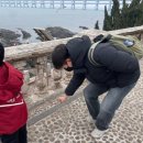 갈매기나라 - 강서구 곰달래로 140 | 중국 대련(7) - 대련 자연사박물관 大连自然博物馆 갈매기 똥 맞은후기