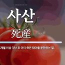 사산 뜻 막달 에도 있을 수 있죠 유산 차이점은 이거랍니다 이미지