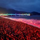 해성비치회맛집 이미지