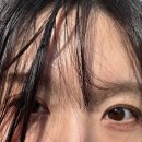 자유랜드 | 용인 에버랜드 워킹사파리 자유이용권 할인 후기