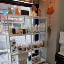 살롱드독 이미지