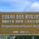 진주 수곡 팔각형 분묘군 | 진주 수곡 팔각형 분묘(八角形 墳墓)-경남 진주