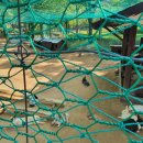 애련농장 이미지