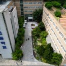 백신초등학교 이미지