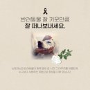 양산장례식장 - 1369 | 양산장례식장