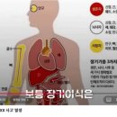 대봉서한착한공인중개사사무소 | 184 다이어트약, 불법 약 ㅡ 밀수입, 수출입 ㅡ 통역알바들은 누가 하냐ㆍ경매물건 당첨되기 파가 있다