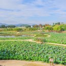 연꽃테마파크 방문자 센터 이미지