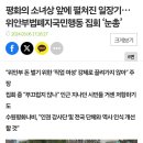 호사카 유지 교수 비난 시민단체 대표…2심서 "위자료 지급하라" 이미지