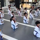 Ktigers 감일 태권도장 이미지