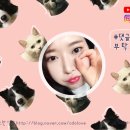 왈왈츠 이미지