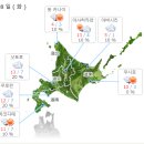 홋카이도,북해도,삿포로,오타루,비에이&후라노,샤코탄 날씨 5월8일~11일 일기예보 입니다. 이미지