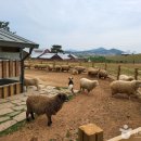 송림농산물유통 | [전북 고창군][가족 추천 코스] 아이가 더 좋아하는 오감만족 체험여행