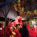 짱투 | 11월과 12월, 나는 이방인