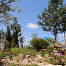 매류초등학교 이미지