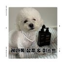 독사랑동물병원 | 강아지샴푸추천 하면 역시 레나독 비숑 디탱글 미스트 후기