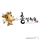 홍성한우 뉴스1
