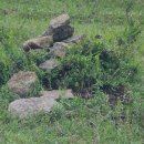 초원산장 이미지