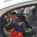 새솔어린이집 - 은평구 | 새솔어린이집