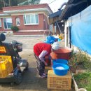 색칠공부 김장뒤끝정리 간식드사기 회관마실가심 이미지