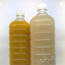 맛있는 궁전반찬 이미지