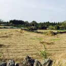 지은민예품 이미지