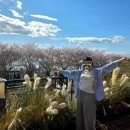 11620-15-77-5 | [빅사이즈] 77 입은옷 ootd 내돈내산 후기 (꽃구경)