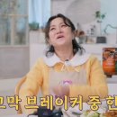 코쿤스토리 이미지