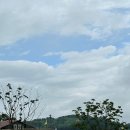 읍성 주차장 화장실 이미지