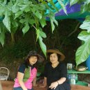 선이네농장 이미지