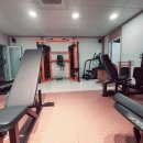 브이아이핏 이미지