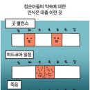 집순이