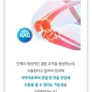 이든네이처 - 충주시 국원대로 124 | 관절에 좋은 영양제 무릎, 손가락, 관절, 발목, 고관절 통증 영양제
