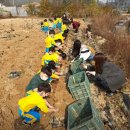 하영농장 이미지