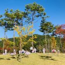 홍인수목토태권도 이미지