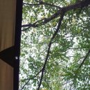 구)미천초등학교 이미지