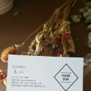 기분좋은날헤어샵 - 사천시 | 기분좋은날헤어샵