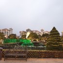 소나무리조트 이미지