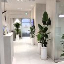 고른이치과의원 | 강남 역삼동 한티역 치과 잘하는 곳 찾으시나요? TOP5 추천 비용 &amp; 후기 총정리