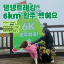 일양약품(주)강원지점 | [댕댕트레킹 2025]6km 완주 후기 / 주차 / 기념품 / 숙소