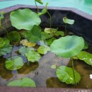 안녕주유소 이미지