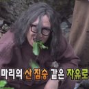 (주)여행아이