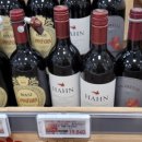 펠리체빈 이미지