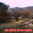 단촌 이미지