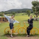 드르쿰다 이미지