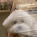 산책길(반려동물 미용실) 이미지