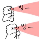 벨메르뷰티