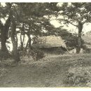 노적봉 도당지 이미지