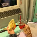 이삭애견 | 10월 여행 : 전주1 (ft. 전주애견카페/애견동반 야장삼겹살맛집 남양집 한옥마을본점/평화와 평화/벽화...