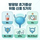신장과 방광관련 주요 질환별 증상 이미지