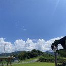 봄이야 놀자 이미지